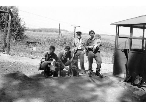 Foto 6